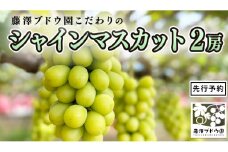 【 藤澤ブドウ園 】 こだわり の シャインマスカット 2房 2025年産 先行予約 ぶどう ブドウ 葡萄 フルーツ [AH003ci]