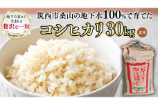 地下水100％で作る美味しい 「 コシヒカリ 」 30kg ( 玄米 ) 令和6年産 米 お米 コメ こしひかり 茨城県 精米 新生活 応援  [DU014ci]