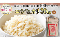 地下水100％で作る美味しい 「 コシヒカリ 」 30kg ( 玄米 ) 令和7年産 米 お米 コメ こしひかり 茨城県 精米 新生活 応援  [DU014ci]