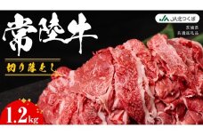 【 JA北つくば 】 常陸牛 切り落とし 1.2kg ブランド牛 銘柄牛 A5 A4 牛肉 牛 和牛 お肉 にく 切落し 焼肉 バーベキュー ギフト 贈答 贈り物 茨城県共通返礼品 [AE043ci]