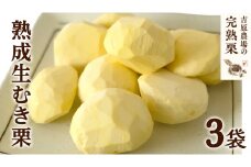 【 吉原農場 の 完熟栗 】 熟成 生むき栗 3袋 ( 120g × 3袋 ) 令和7年産 完熟 栗 くり クリ 栗ごはん 贈答 ギフト 果物 フルーツ 数量限定 旬 秋 冬 正月 おせち [CX019ci]