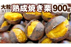 【 谷口農場 】 大粒 熟成 焼き栗 900g ( 2Lサイズ ) 300g × 3袋 完熟 栗 くり クリ 栗ごはん 果物 フルーツ　数量限定 [EC003ci]