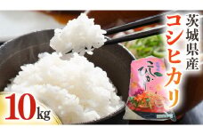 茨城県産 コシヒカリ 10kg ( 10kg × 1袋 ) 令和6年産 米 お米 コメ 白米 こしひかり 茨城県 新生活 応援 [EG002ci]