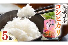 茨城県産 コシヒカリ 5kg ( 5kg × 1袋 ) 令和6年産 米 お米 コメ 白米 こしひかり 茨城県 新生活 応援 [EG001ci]