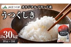 【 定期便 3ヶ月 】 JA北つくば オリジナル ブランド米 「 うつくしき 」 10kg ( コシヒカリ ) 令和6年産 農協 JA 米 お米 白米 コメ こしひかり 茨城県 精米 新生活 応援 [AE046ci]