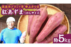 【 よしのいも 】井上さつま 「 紅あずま 」 M・Lサイズ 約5kg ( 土なし ) 完熟 さつまいも いも おいも 焼き芋 芋 おやつ まごころ野菜よしの [DX011ci]