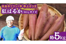 【 よしのいも 】井上さつま 「 紅はるか 」 M・Lサイズ 約5kg ( 土なし ) 完熟 さつまいも いも おいも 焼き芋 芋 おやつ まごころ野菜よしの [DX013ci]