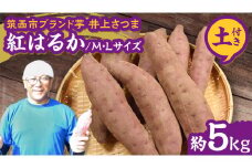 【 よしのいも 】井上さつま 「 紅はるか 」 M・Lサイズ 約5kg ( 土付き ) 完熟 さつまいも いも おいも 焼き芋 芋 おやつ まごころ野菜よしの [DX012ci]