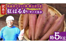 【 よしのいも 】訳あり 井上さつま 「 紅はるか 」 サイズ混合 約5kg ( 土なし ) 完熟 さつまいも いも おいも 焼き芋 芋 おやつ まごころ野菜よしの [DX019ci]