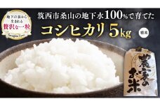 地下水100％で作る美味しい 「 コシヒカリ 」 5kg 令和6年産 米 お米 白米 コメ こしひかり 茨城県 精米 新生活 応援 [DU017ci]