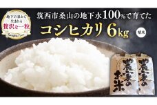地下水100％で作る美味しい 「 コシヒカリ 」 6kg 令和6年産 米 お米 白米 コメ こしひかり 茨城県 精米 新生活 応援 [DU018ci]