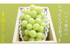 ハウス栽培 の シャインマスカット 1房 ( 約700g～800g ) 令和7年産 先行予約 化学肥料不使用 ぶどう ブドウ 葡萄 フルーツ [EK001ci]