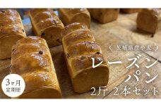 【 3ヶ月 定期便 】茨城県産 小麦の レーズンパン 2斤 2本 セット 食パン パン 小麦 冷凍 レーズン プレゼント ギフト [AU020ci]