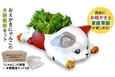 おえかきにゃんこ の 水耕栽培キット 家庭菜園 小物入れ 収納 インテリア 野菜 やさい 夏休み 自由研究 工作 [EM001ci]