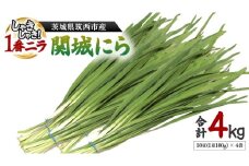 関城にら 4kg ( 100g × 10束 × 4袋 ) 一番ニラ ニラ にら 野菜  [DI001ci]
