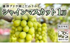 【 藤澤ブドウ園 】 こだわり の シャインマスカット 1房 約700g 2025年産 先行予約 ぶどう ブドウ 葡萄 フルーツ [AH005ci]