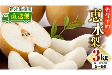 【 先行予約 】箱守果樹園 直送！ 恵水梨 3kg なし 梨 果実 果物 フルーツ [DE003ci]