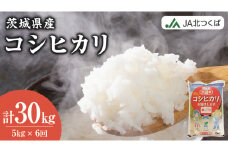 【 定期便 6ヶ月 】 JA北つくば 茨城県産 コシヒカリ 5kg 令和6年産 農協 JA 米 お米 白米 コメ こしひかり 茨城県 精米 新生活 応援 [AE048ci]