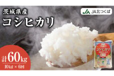 【 定期便 6ヶ月 】 JA北つくば 茨城県産 コシヒカリ 10kg ( 5kg × 2袋 ) 令和6年産 農協 JA 米 お米 白米 コメ こしひかり 茨城県 精米 新生活 応援 [AE049ci]