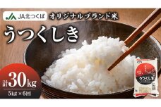 【 定期便 6ヶ月 】 JA北つくば オリジナル ブランド米 「 うつくしき 」 5kg ( コシヒカリ )  令和6年産 農協 JA 米 お米 白米 コメ こしひかり 茨城県 精米 新生活 応援 [AE051ci]