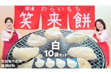 笑来餅 10個 セット（白10） 餅 もち もち米 きな粉餅 あんこ餅 [EP003ci]