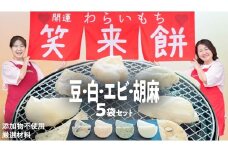 笑来餅 5個 セット（豆2、白、エビ、胡麻） 餅 もち もち米 豆餅 落花生 エビ [EP007ci]