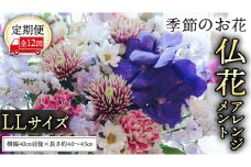 【 定期便 12か月 】季節の お花 の 仏花 アレンジメント LL 仏花 生花 お供え [CT148ci]