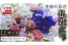 【 定期便 6か月 】季節の お花 の 仏花 アレンジメント LL 仏花 生花 お供え [CT147ci]