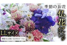 季節の お花 の 仏花 アレンジメント LL 仏花 生花 お供え [CT146ci]