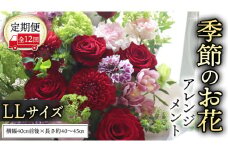 【 定期便 12か月 】季節の お花 の アレンジメント LL ギフト プレゼント 花 お祝い 贈答 記念日 フラワー  [CT144ci]