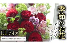 季節の お花 の アレンジメント LL ギフト プレゼント 花 お祝い 贈答 記念日 フラワー  [CT142ci]