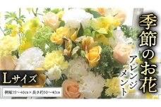 季節の お花 の アレンジメント L ギフト プレゼント 花 お祝い 贈答 記念日 フラワー  [CT141ci]