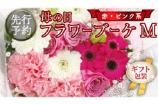 【 母の日 】 ブーケ M 赤 ・ ピンク 系 ギフト プレゼント 花 お祝い 贈答 記念日 [CT091ci01]