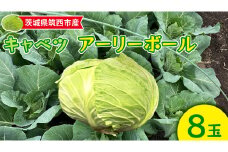 茨城県 筑西市産 キャベツ 「 アーリーボール 」 8玉 野菜 新鮮 [DU020ci]