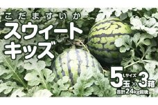 【 地下水100％栽培 】 こだますいか 「 スウィートキッズ 」 5個入り × 3箱 令和7年産 先行予約 スウィートキッズ すいか スイカ 小玉スイカ こだまスイカ 西瓜 フルーツ 果物 [DU023ci]