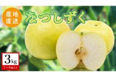 【 産地直送 】 なつしずく 3kg 梨 フルーツ 果物 国産 日本産 梨 ナシ なし 和梨 [CZ009ci]