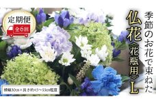 【 定期便 6回】季節の お花 で束ねた仏花【花瓶用】L 花 仏花 生花 お供え [CT154ci]