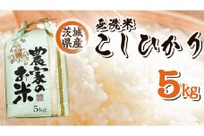 【 産地直送 】 茨城県産 無洗米 コシヒカリ 5kg 令和6年産 精米 米 お米 コメ 白米 こしひかり [CZ011ci]