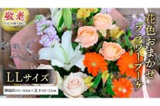 【 敬老の日 】季節のお花の フラワーアレンジメント LL　花色おまかせ ギフト プレゼント 花 お祝い 贈答 記念日 フラワー [CT162ci]