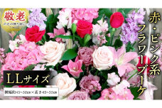 【 敬老の日 】 季節のお花の フラワーアレンジメント LL（赤・ピンク系） ギフト プレゼント 花 お祝い 贈答 記念日 フラワー [CT160ci]