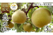 【 JA 北つくば 】 筑西ブランド 認証品 豊水 ( 梨 ) 3kg 2025年産 先行予約 梨 果物 フルーツ なし ナシ 和梨 くだもの デザート 茨城 [AE054ci]