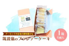 筑波嶺 の ブランデー ケーキ 1箱(6個入) ブランデーケーキ お菓子 おかし 菓子 銘菓 焼き菓子 [AT008ci]