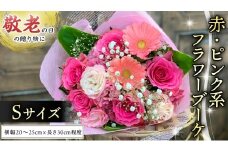 【 敬老の日 】 ブーケ S 赤 ・ ピンク 系 ギフト プレゼント 花 お祝い 贈答 記念日 [CT088ci]