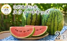 【 JA北つくば 】 こだますいか 「 スウィートキッズ 」 2玉 2026年産 スイカ 果物 フルーツ [AE005ci]