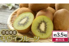 茨城県産 キウイ フルーツ 3.5kg (約 30玉 ) 果物 キウイフルーツ 先行予約 数量限定 甘い 旬 国産 [DB001ci]