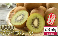 茨城県産 キウイ フルーツ 特大 約 3.5kg 大玉 果物 キウイフルーツ 先行予約 数量限定 甘い 旬 国産 [DB003ci]