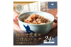 寝かせ玄米ごはんパック 十五穀ブレンド 160g×24食｜玄米 常温保存 パックご飯 備蓄 一人暮らし レトルト 雑穀 [1613]