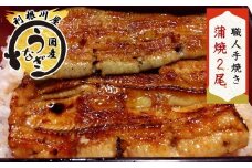 国産うなぎ 蒲焼 2尾セット 老舗《利根川屋》の職人手焼き｜鰻 ウナギ うなぎ たれ付 蒲焼き かばやき うな重 うな丼 ひつまぶし 日本料理 和食 簡単調理 土用丑 茨城県 稲敷市 霞ヶ浦 [0585]