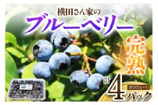 横田さん家の完熟ブルーベリー 4パック (約300g×4)｜果物 くだもの フルーツ スイーツ 旬ジャム ヨーグルト [1606]