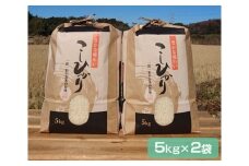 【令和5年産】農場直送 茨城県稲敷市産 コシヒカリ 10kg (5kg×2セット) [0909]